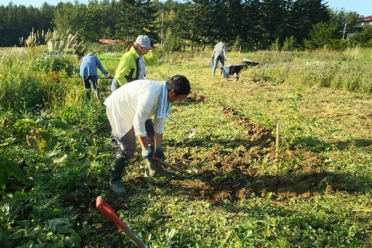 field-5